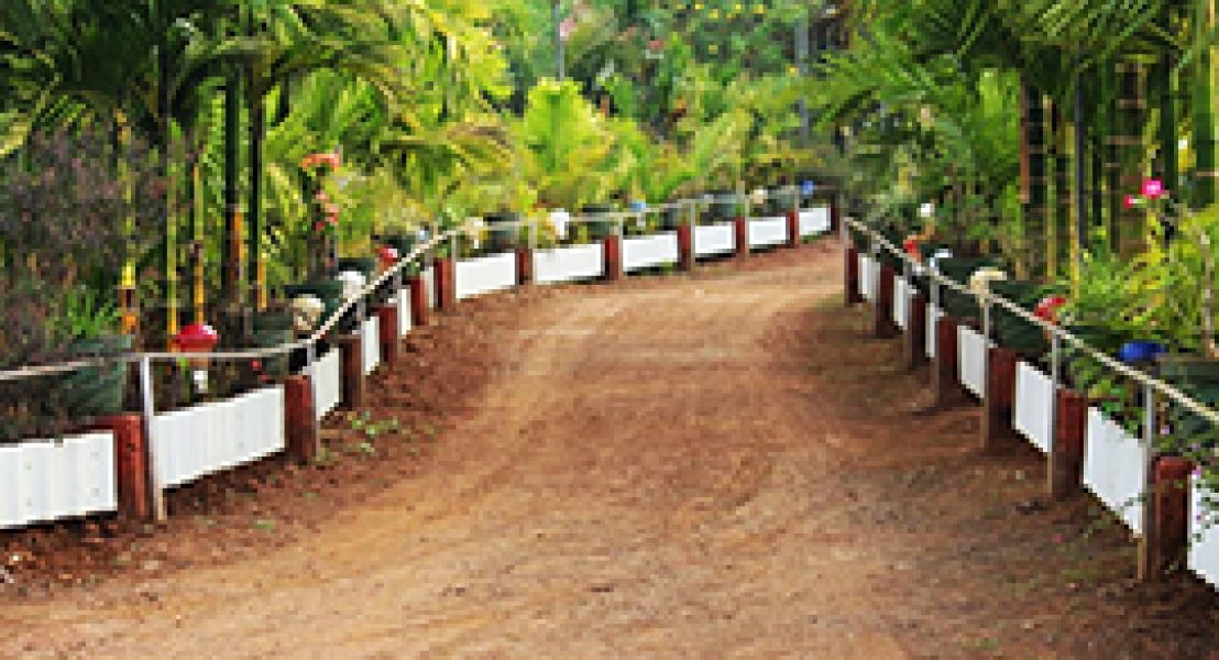Vrukshavalli Resort